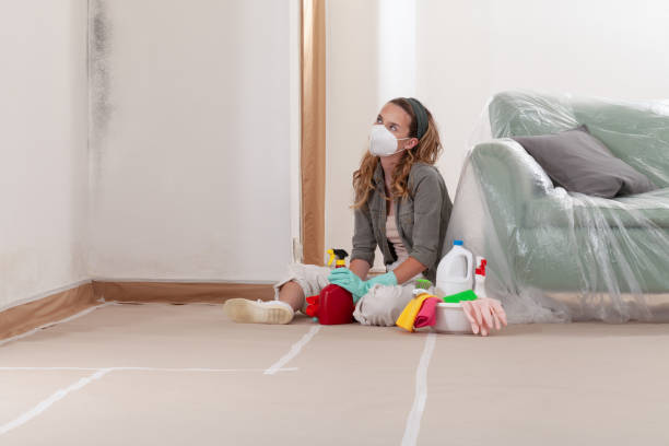 Reliable Black Mold Removal contractor in Cedar Park, TX by WQB Mold Removal